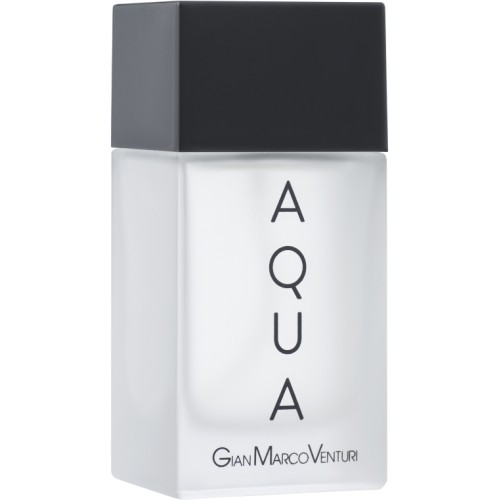 <p>Gian Marco Venturi Aqua</p> Туалетная вода 100 ml Тестер