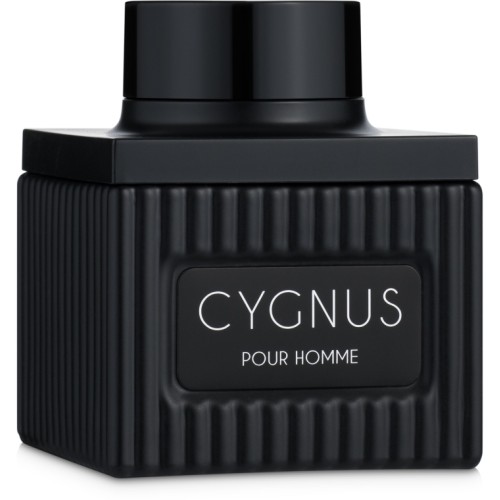 <p>Flavia Cygnus Pour Homme</p> Парфумированая вода 100 ml 