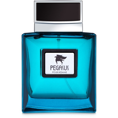 <p>Flavia Pegasus Pour Homme</p> Парфумированая вода 100 ml 