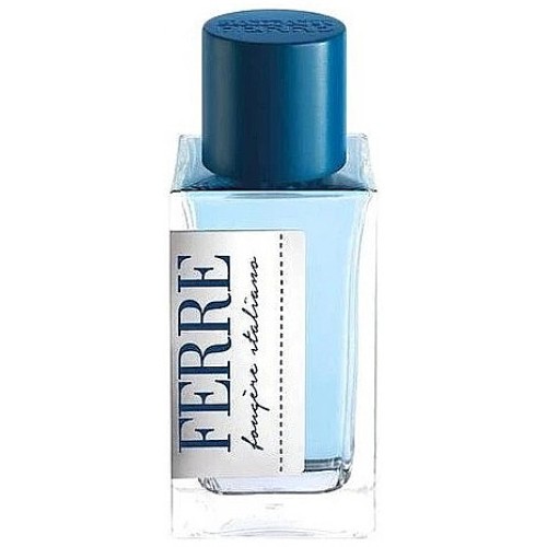 <p>Gianfranco Ferre Fougere Italiano</p> Туалетная вода 100 ml Тестер