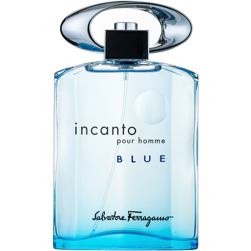 Salvatore Ferragamo Incanto Pour Homme Blue edt 100 ml 