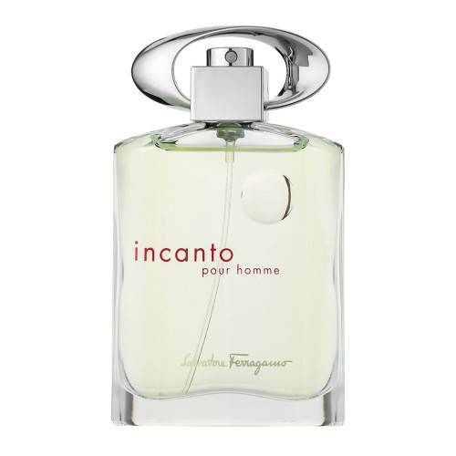 <p>Salvatore Ferragamo Incanto Pour Homme</p> Туалетная вода 100 ml Тестер