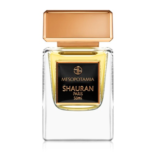 <p>Shauran Mesopotamia</p> Парфумированая вода 50 ml Тестер