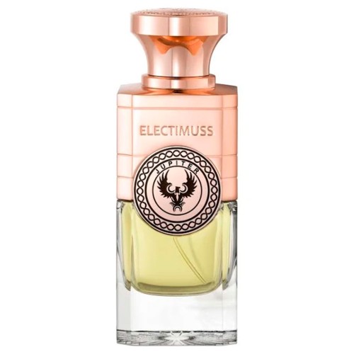 <p>Electimuss Jupiter</p> Парфумированая вода 100 ml 