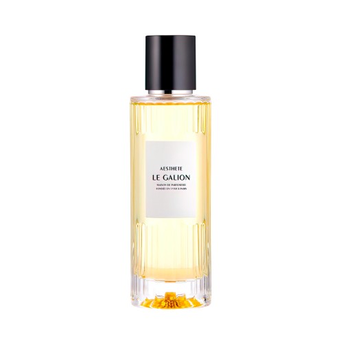 Le Galion Aesthete edp 100 ml Tester